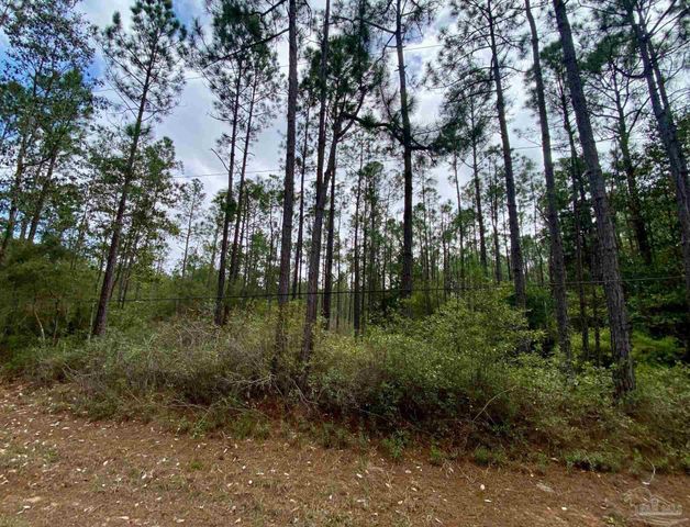 000 Allegro St, Milton, FL 32583