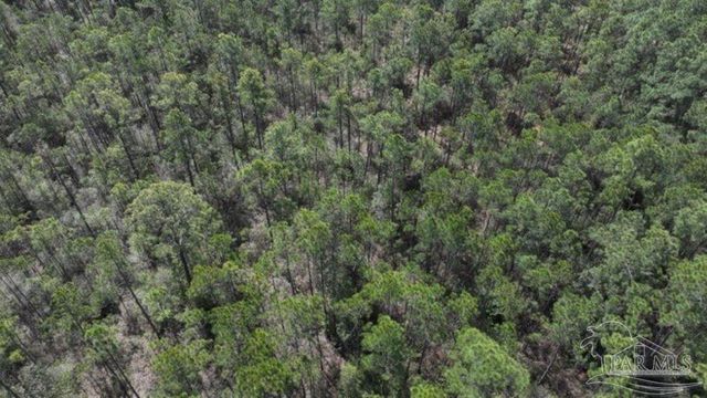 000 Allegro St, Milton, FL 32583
