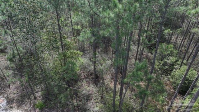000 Allegro St, Milton, FL 32583