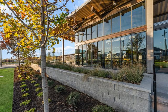 4008 Allegro Drive, Celina, TX 75078