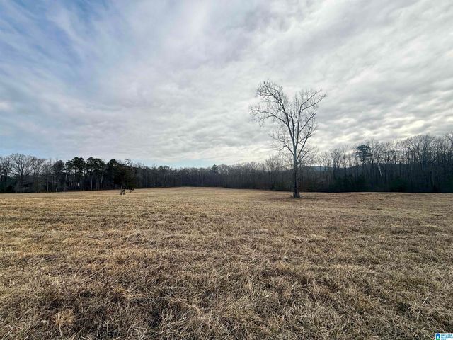 Lot 7 CEDAR SPRINGS DRIVE, Jacksonville, AL 36265