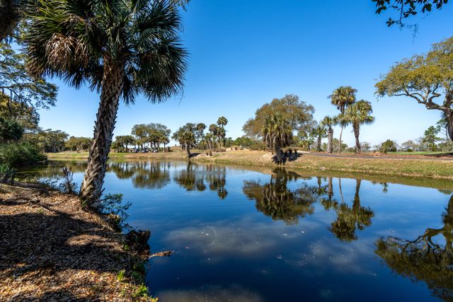 16 Twin Oaks Lane, Isle Of Palms, SC 29451