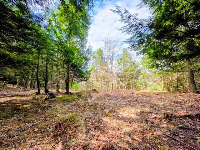 440 Stapelfeld Drive, Ryegate, VT 05081