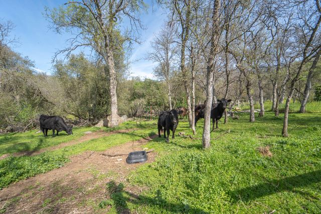 44294 Sequoia Oaks Drive, Three Rivers, CA 93271