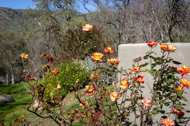 44294 Sequoia Oaks Drive, Three Rivers, CA 93271