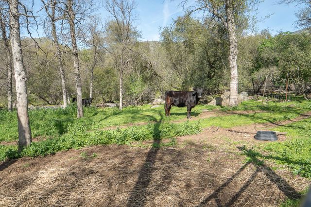 44294 Sequoia Oaks Drive, Three Rivers, CA 93271