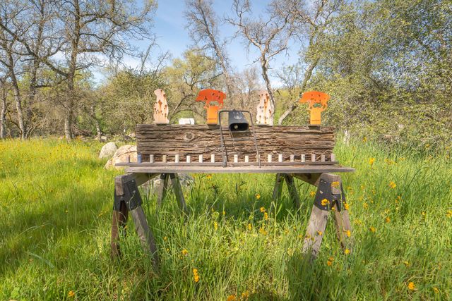 44294 Sequoia Oaks Drive, Three Rivers, CA 93271