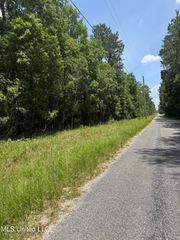 Shenandoah Rd Road, Poplarville, MS 39470