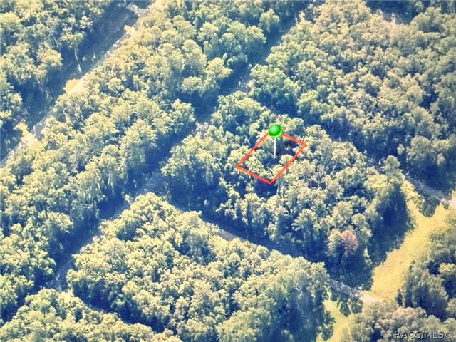 775 E Elgrove Drive, Citrus Springs, FL 34434