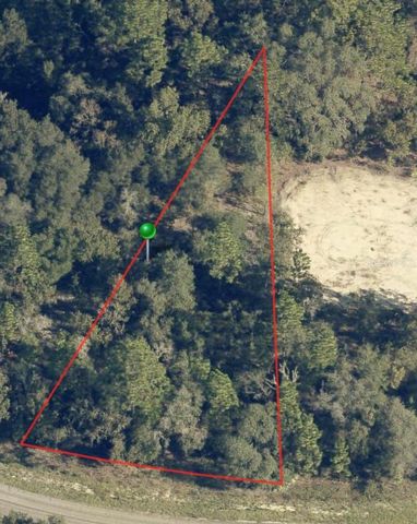 6960 N LIME DRIVE, Citrus Springs, FL 34433