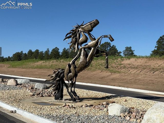 15557 Fringe Place, Colorado Springs, CO 80908