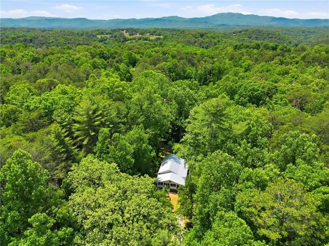 2494 Blue Ridge Drive, Blue Ridge, GA 30513