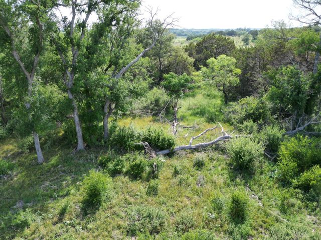 Lot 39 Serenity DR, Bertram, TX 78605