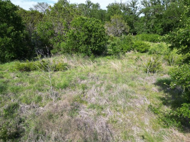 Lot 39 Serenity DR, Bertram, TX 78605