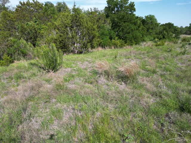 Lot 39 Serenity DR, Bertram, TX 78605