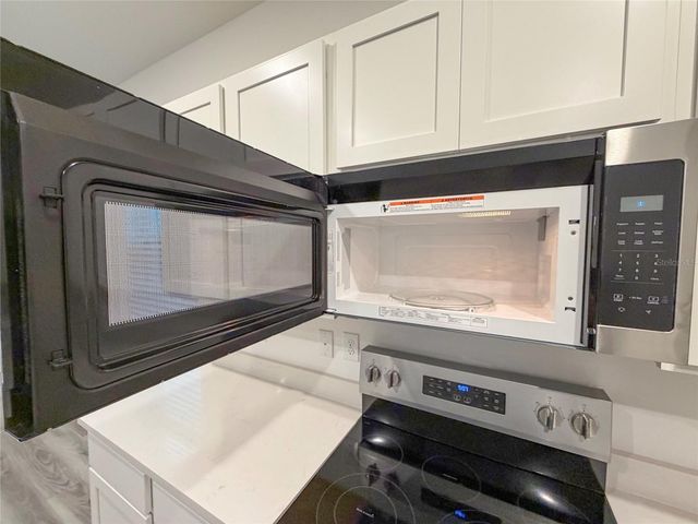 11346 VELVET APRICOT DRIVE, Land O Lakes, FL 34638