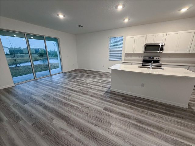 11346 VELVET APRICOT DRIVE, Land O Lakes, FL 34638