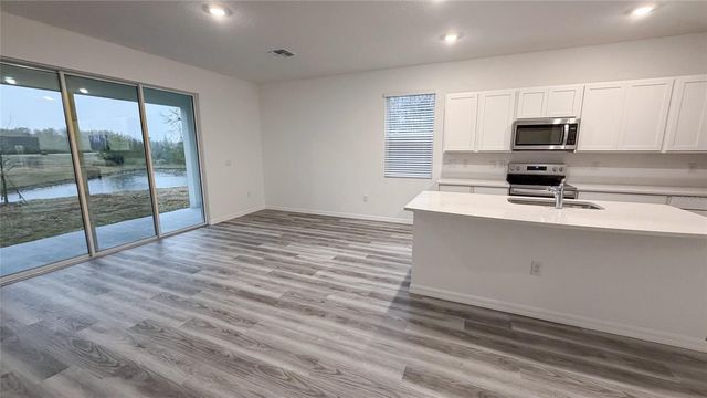 11346 VELVET APRICOT DRIVE, Land O Lakes, FL 34638