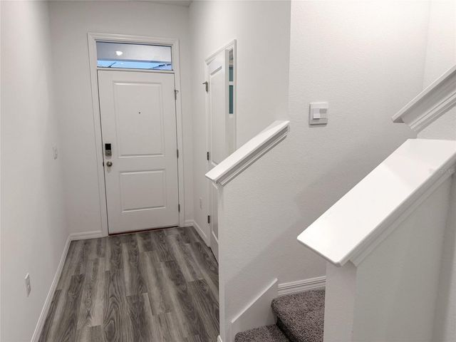 11346 VELVET APRICOT DRIVE, Land O Lakes, FL 34638