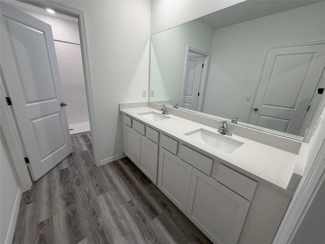 11346 VELVET APRICOT DRIVE, Land O Lakes, FL 34638