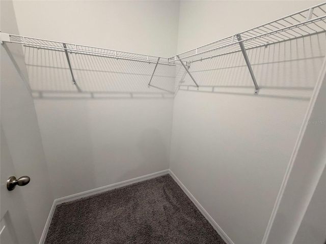 11346 VELVET APRICOT DRIVE, Land O Lakes, FL 34638