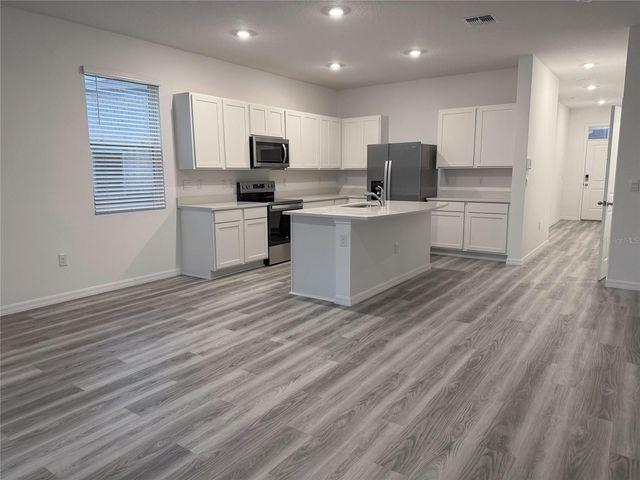 11346 VELVET APRICOT DRIVE, Land O Lakes, FL 34638