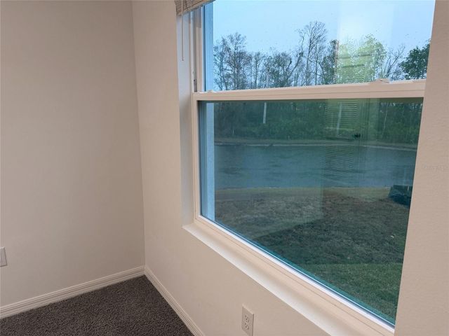 11346 VELVET APRICOT DRIVE, Land O Lakes, FL 34638