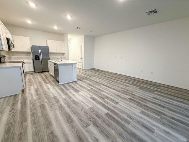 11346 VELVET APRICOT DRIVE, Land O Lakes, FL 34638