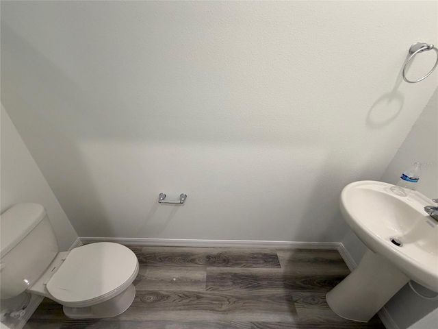 11346 VELVET APRICOT DRIVE, Land O Lakes, FL 34638