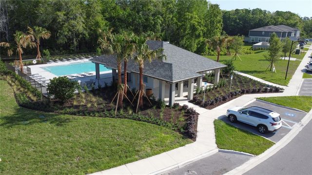 11346 VELVET APRICOT DRIVE, Land O Lakes, FL 34638
