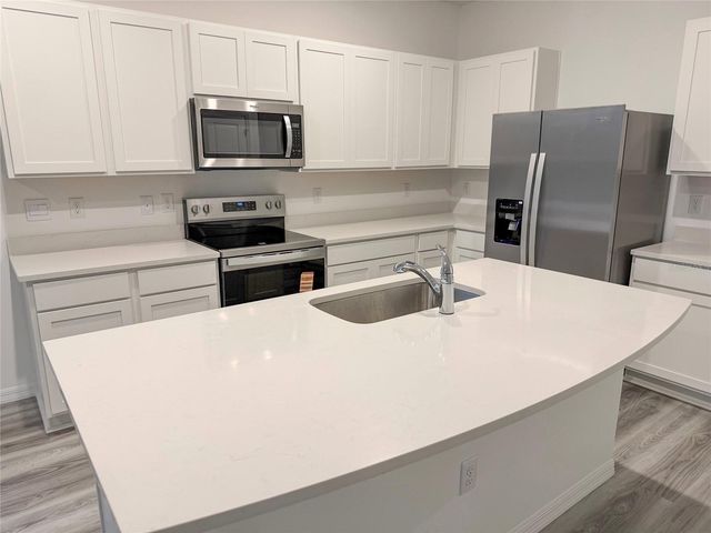 11346 VELVET APRICOT DRIVE, Land O Lakes, FL 34638