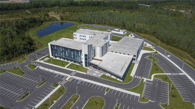 11346 VELVET APRICOT DRIVE, Land O Lakes, FL 34638