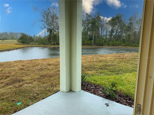 11346 VELVET APRICOT DRIVE, Land O Lakes, FL 34638