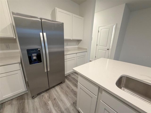 11346 VELVET APRICOT DRIVE, Land O Lakes, FL 34638