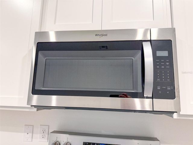 11346 VELVET APRICOT DRIVE, Land O Lakes, FL 34638