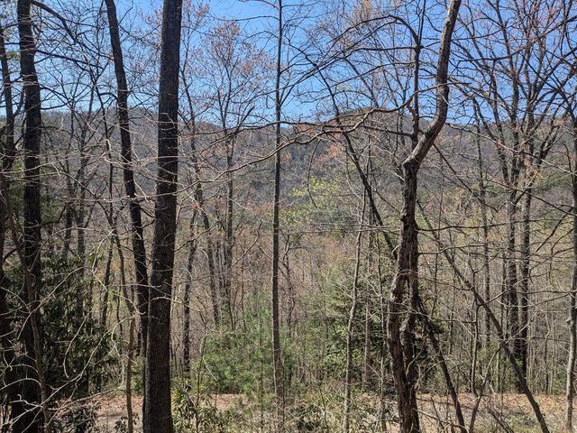 Trk 1&2 Kimsey Mountain Hwy, Turtletown, TN 37391