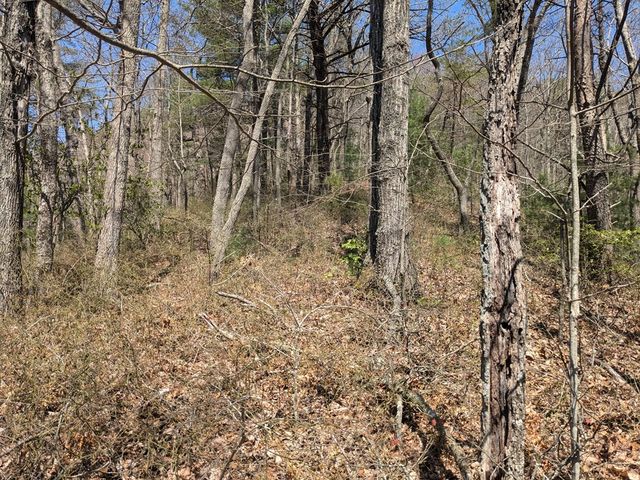 Trk 1&2 Kimsey Mountain Hwy, Turtletown, TN 37391
