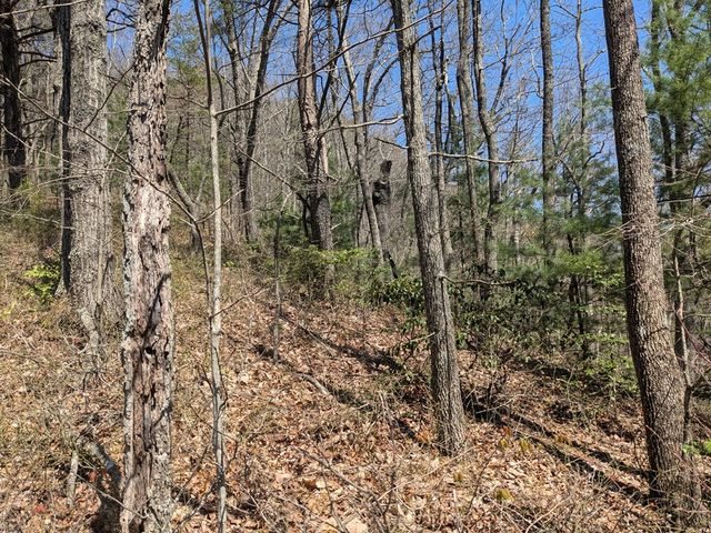 Trk 1&2 Kimsey Mountain Hwy, Turtletown, TN 37391