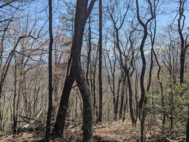 Trk 1&2 Kimsey Mountain Hwy, Turtletown, TN 37391
