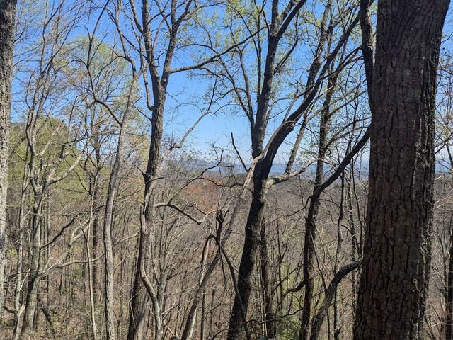 Trk 1&2 Kimsey Mountain Hwy, Turtletown, TN 37391