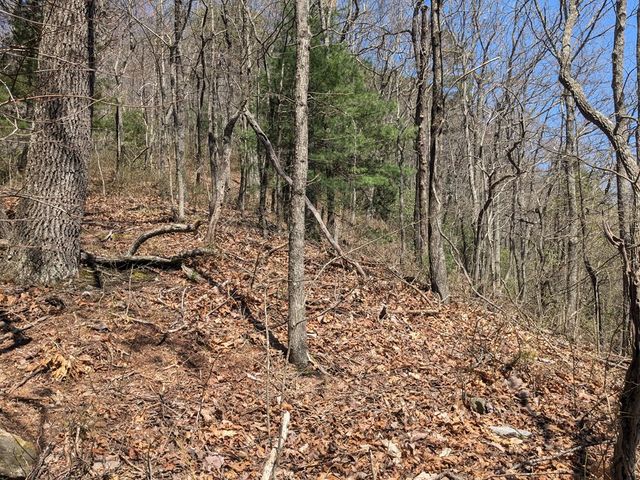 Trk 1&2 Kimsey Mountain Hwy, Turtletown, TN 37391