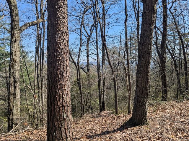 Trk 1&2 Kimsey Mountain Hwy, Turtletown, TN 37391