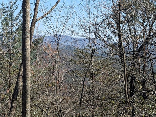 Trk 1&2 Kimsey Mountain Hwy, Turtletown, TN 37391