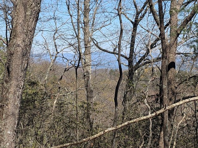 Trk 1&2 Kimsey Mountain Hwy, Turtletown, TN 37391