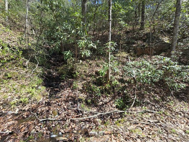 Trk 1&2 Kimsey Mountain Hwy, Turtletown, TN 37391