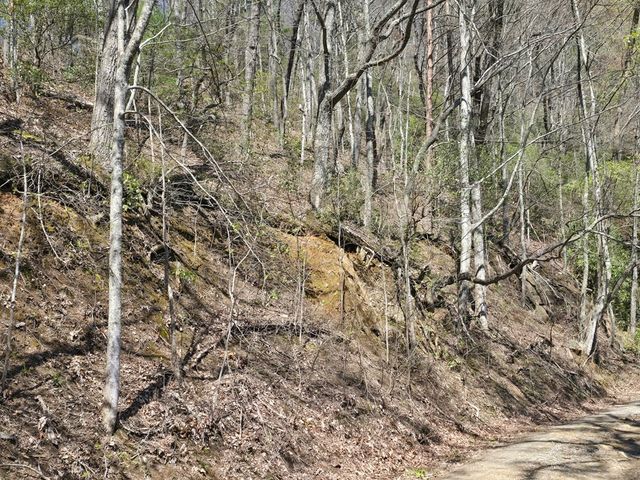 Trk 1&2 Kimsey Mountain Hwy, Turtletown, TN 37391