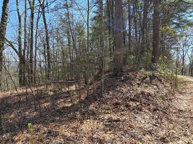 Trk 1&2 Kimsey Mountain Hwy, Turtletown, TN 37391