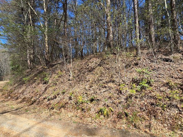 Trk 1&2 Kimsey Mountain Hwy, Turtletown, TN 37391