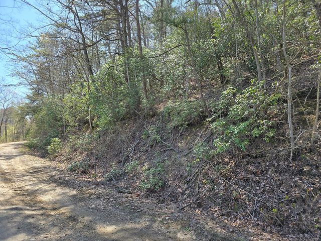 Trk 1&2 Kimsey Mountain Hwy, Turtletown, TN 37391