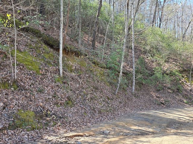 Trk 1&2 Kimsey Mountain Hwy, Turtletown, TN 37391